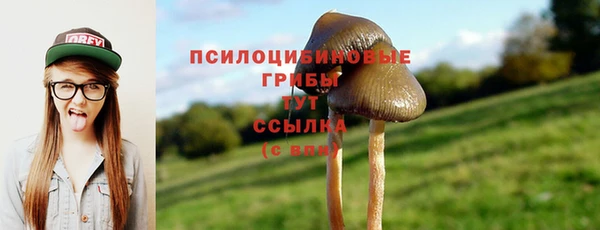 спиды Беломорск