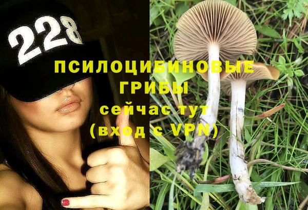 первитин Белокуриха
