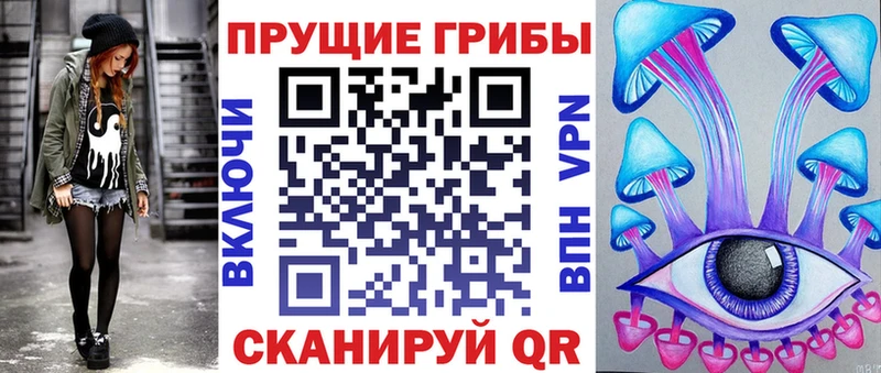 Купить где  Юрьевец  Псилоцибиновые грибы прущие грибы 